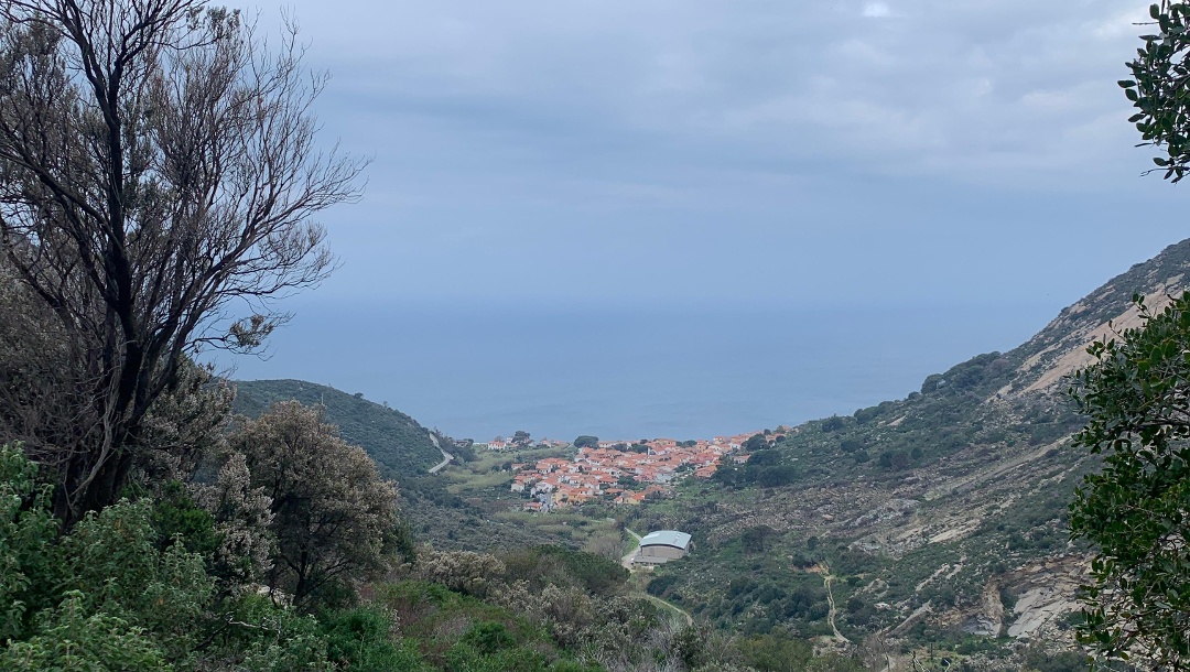 Elba Von Pomonte über den GTE zum Monte Capanne 1018m  ( Versuch)