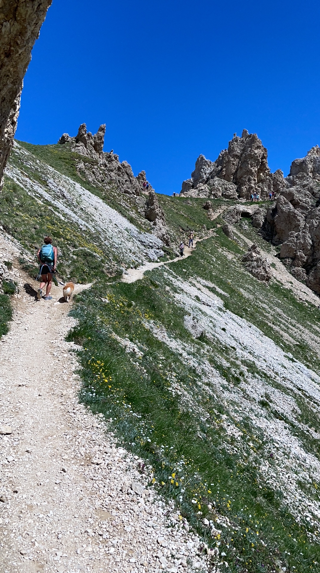 Tierser Alpl und Rosszähne  2500m von Campitello di Fassa über der Val Duron und zurück. Lange Bergwanderung