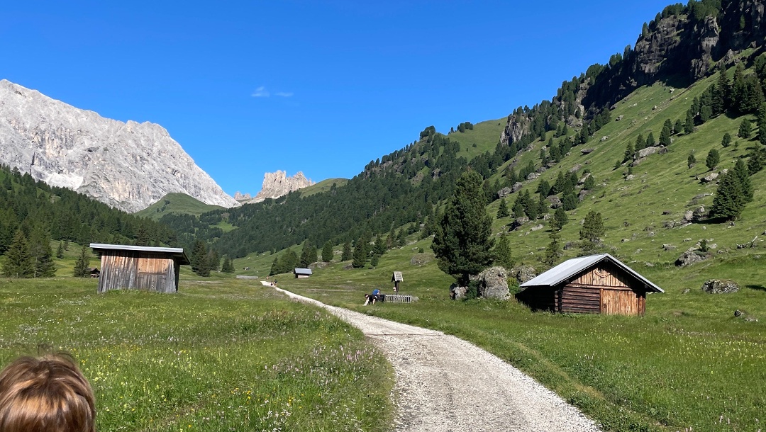 Überquerung von Campitello di Fassa 1448m zum Tierser Alpl und Rosszähnen 2500m über der Val Duron und zurück. Lange Bergwanderung
