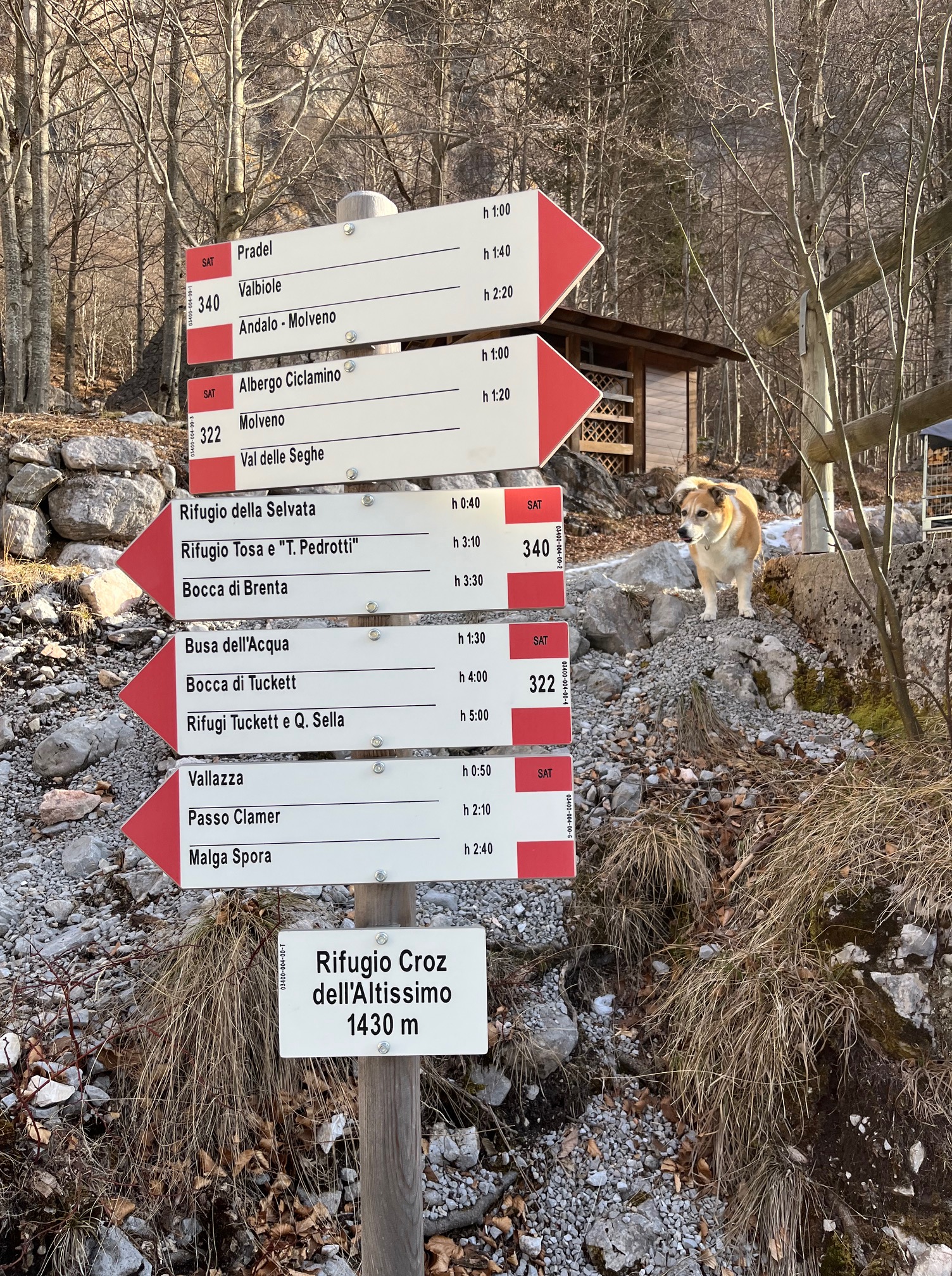 Brenta von Molveno 865m zum Rifugio Croz dell`Altissimo 1430m ; Winterwanderung.