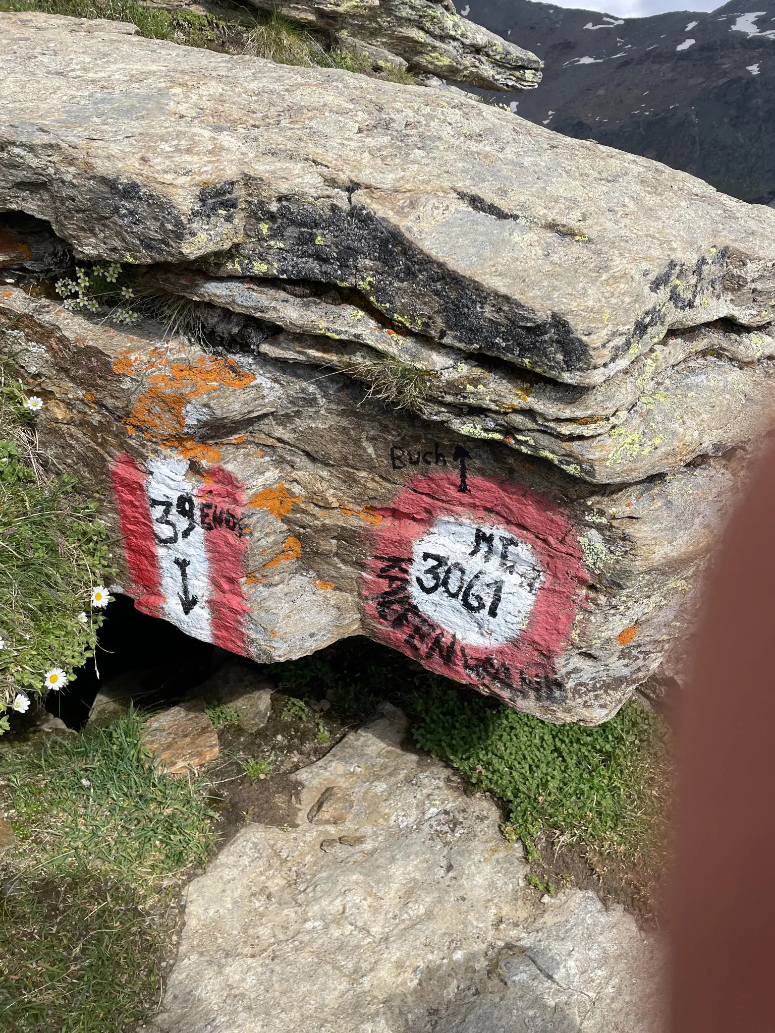 Kalvenwand 3.061 m, Bergwanderung im Stilfser Nationalpark, leichter dreitausender.